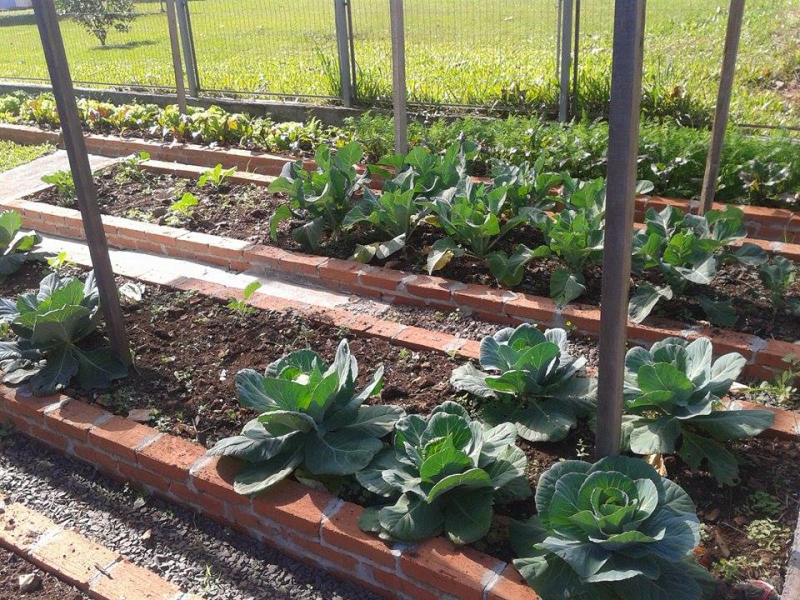 ATIVIDADES DE EDUCAÇÃO NUTRICIONAL  NA EMEI PARAÍSO DA CRIANÇA